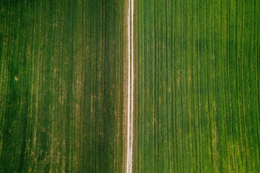 Photo precision agriculture